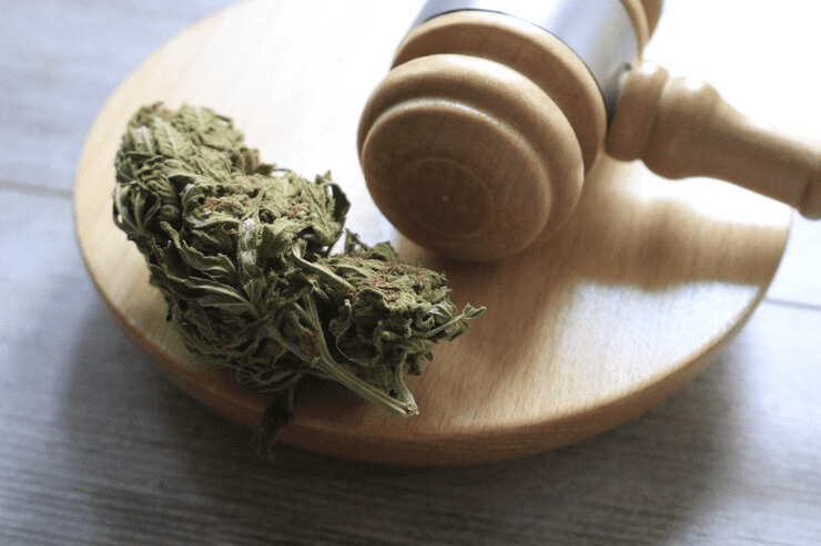 Legal Aspects of Hemp: What You Need to Know 5 high angle view bread table 1048944 11205236